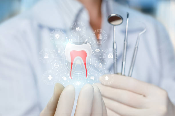  Beacon Hill, WA Dental Services Pros